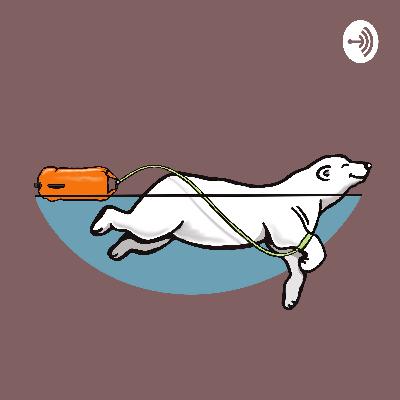 Wild Plunges - Finding Swimming Adventures Podcast (Trailer)