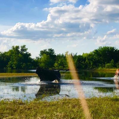 Navigating Obstacles