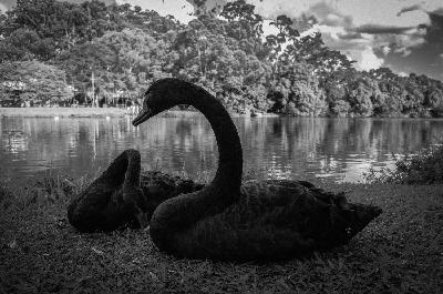 Slow Creativity | Yoshinocast #18 Slow Creativity | Yoshinocast #18