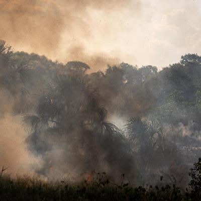 Feuerwehrbrigaden - Im Regenwald Amazoniens brennt es überall