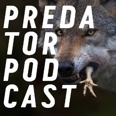 Episode 3: Dogs, Wolves and Foxes