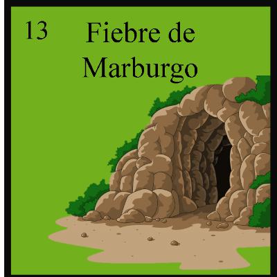 13. Fiebre de Marburgo
