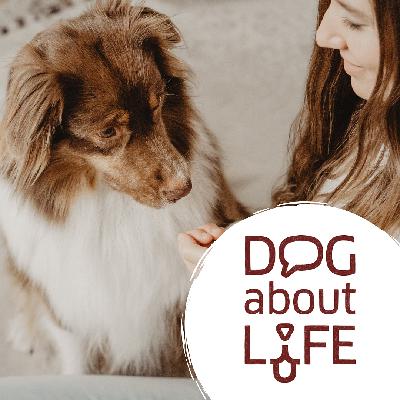 Wohin mit dem Hund?! Über Trennung, Scheidung & den Todesfall