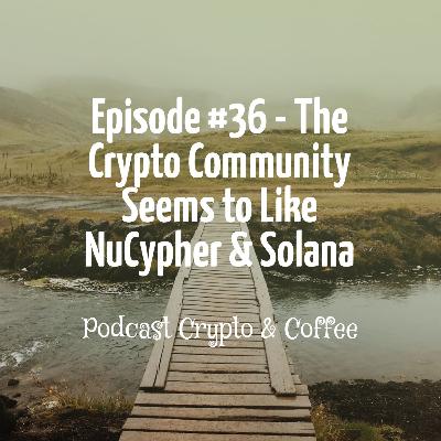 Episode #36 - The Crypto Community Seems to Like NuCypher & Solana