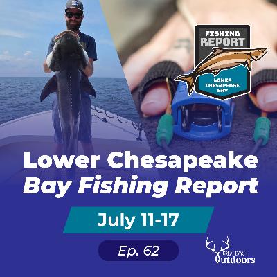 Cobia with Sharks, Bull Reds & Special Guest David Goldberg, Polygraph Expert Cobia with Sharks, Bull Reds & Special Guest David Goldberg, Polygraph Expert
