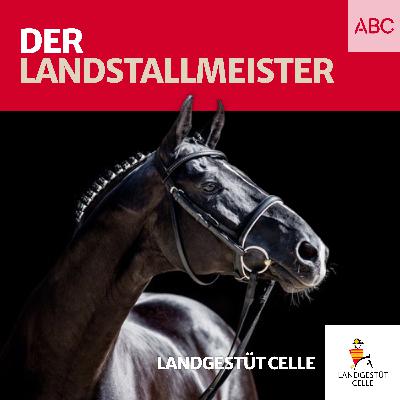 Der Landstallmeister Der Landstallmeister
