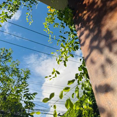 E64. 快乐可以很简单|7月在清迈的日常 E64. 快乐可以很简单|7月在清迈的日常