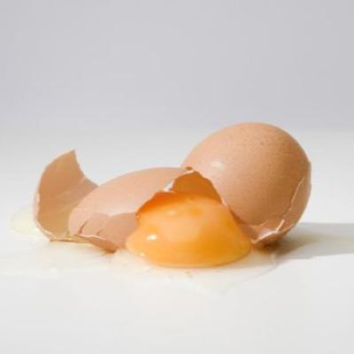 Pertanyaan Terakhir. (Trailer)