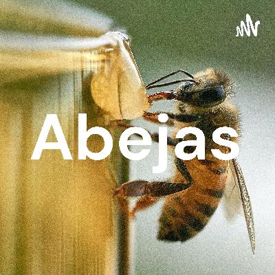 Abejas