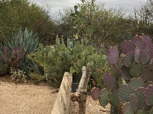 Practice: Step into Your Power