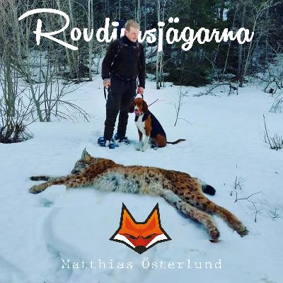 Matthias "sparven" - Lodjurshunden Mio