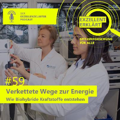 Verkettete Wege zur Energie