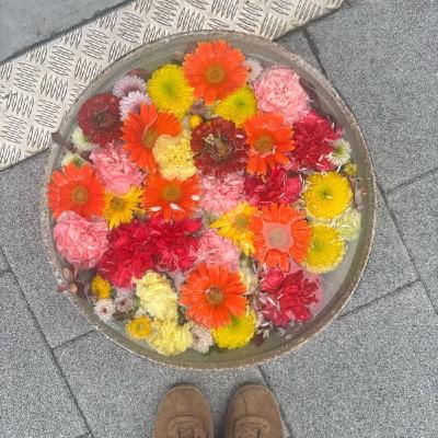 逃げる体を応援したい、だってその方が効率がいいから。