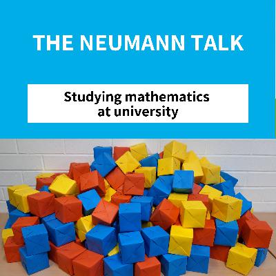 Bonus Episode - Studying mathematics at university