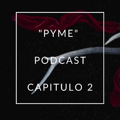Capítulo 2. PYME