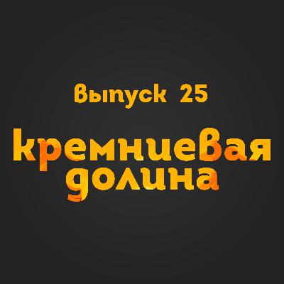 Выпуск 25: Кремниевая долина Выпуск 25: Кремниевая долина