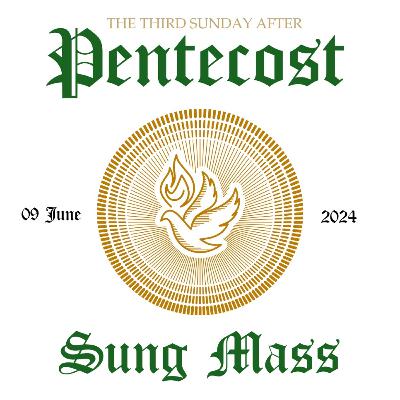 Sermon for the Third Sunday after Pentecost 2024