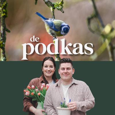 Vogels in de herfst en winter | Slimme winterkoninkjes | Overspelige heggenmussen - De Podkas #S3E7