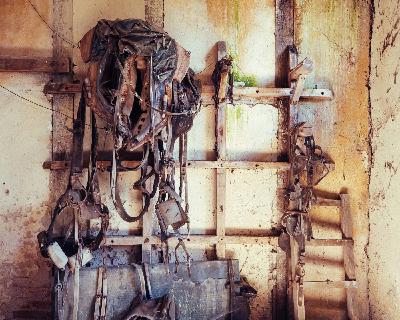 Dereliction and Decay