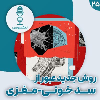 ۲۵— باز کردن قفل مغز: داروهای جدید چگونه از سد خونی-مغزی عبور می‌کنند؟