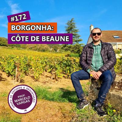 PODCAST aula 172 - Borgonha: Côte de Beaune - Prof. Marcelo Vargas