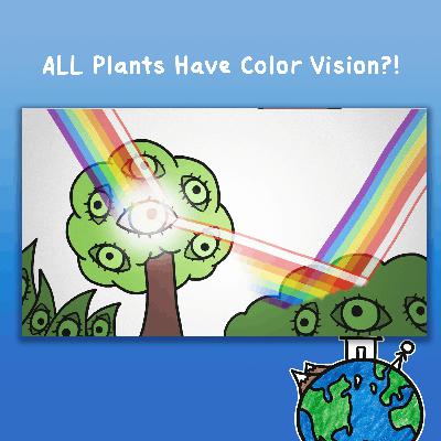 ALL Plants Have Color Vision?!