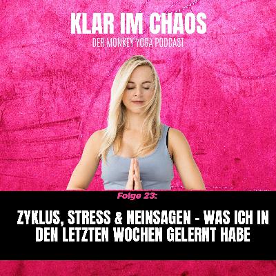 #23: Zyklus, Stress & Neinsagen – was ich in den letzten Wochen gelernt habe #23: Zyklus, Stress & Neinsagen – was ich in den letzten Wochen gelernt habe