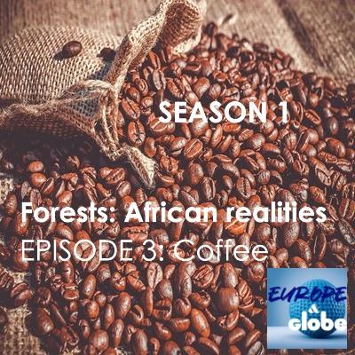 Forests: African realities- Episode 3: Coffee