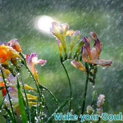 मॉनसून मॉनसून