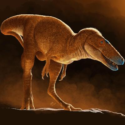 #234 Vorfahre des T. Rex entdeckt: Der Drachenprinz der Mongolei | So schaut die Sonne von unten aus | Jungen und Mädchen sind gleich gut in Mathe - bis zum Schulstart
