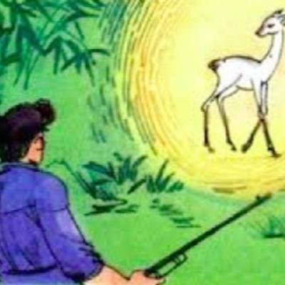 "Muối của rừng": Bản chất thuần phác, đẹp đẽ của thiên nhiên và con người