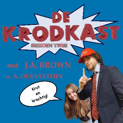 15. Met succes terug van weggeweest: de terugkeer van Iraanse Man Arnhem uit Spijkenisse, of zoiets, met Nico H. Tari