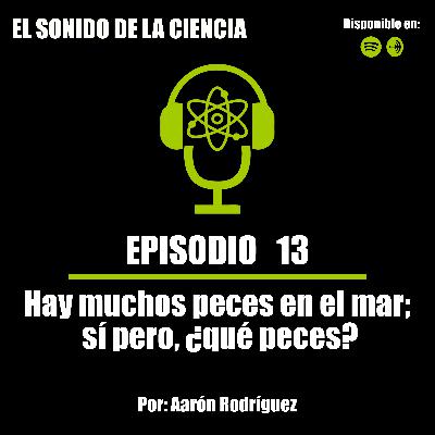 T1E13: Hay muchos peces en el mar; sí pero, ¿qué peces?