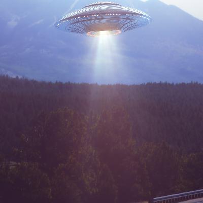 Yeast flakes & Intuition Yeast flakes & Intuition