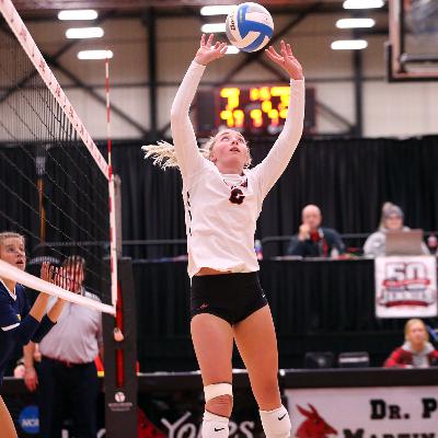 Roll Stable Podcast Episode 8 - Ally Offerdahl