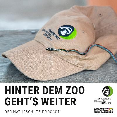 ZGF-Ausblick 2025+: Wie wir gemeinsam mehr erreichen