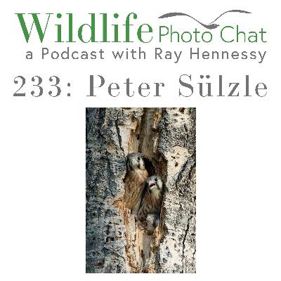 233: Peter Sülzle
