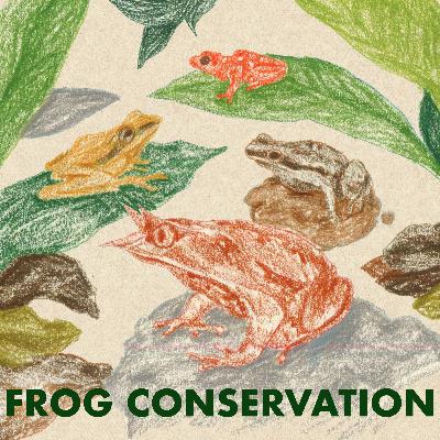 #6 Croak Me Maybe | Frog Conservation in SG