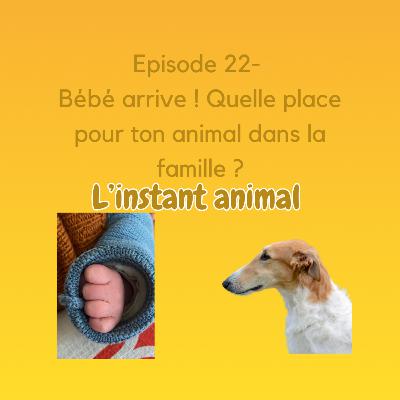 #22 Bébé arrive ! Quelle place pour ton animal dans la famille ?