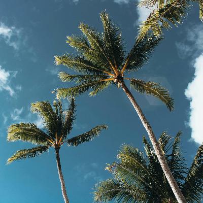 Dj Sladkaya Cat - Deep Night