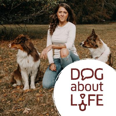 Interview mit Ines Lüke - Was ist Hundetraining?