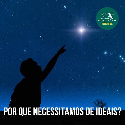 Por que necessitamos ideais?