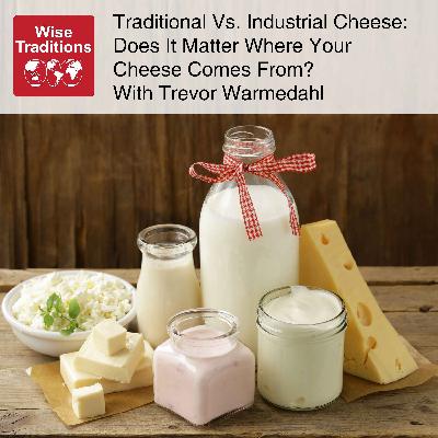 569: Traditional Vs. Industrial Cheese: Does It Matter Where Your Cheese Comes From? With Trevor Warmedahl 569: Traditional Vs. Industrial Cheese: Does It Matter Where Your Cheese Comes From? With Trevor Warmedahl