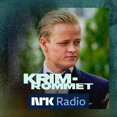 Høiby-saken: Dette må du vite (1)