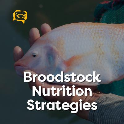 Broodstock Nutrition Strategies | Ep. 12
