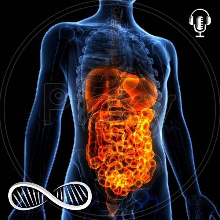 Gut React: Harnessing heuristics as a productivity strategy