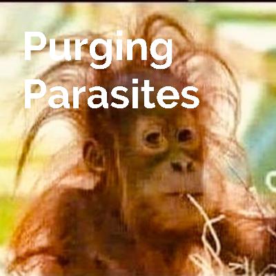 Purging Parasites 2.0 Teaser for The Fainting Episodes of A White Woman