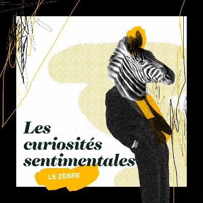 Curiosité num 126 : Le zèbre Curiosité num 126 : Le zèbre