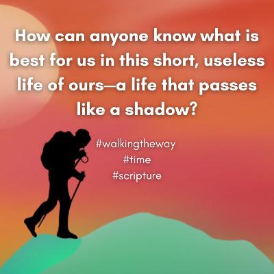 Walking the Way 13th November 2025 - The Long View