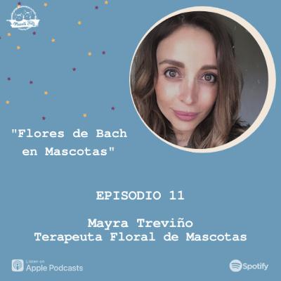 E11. Flores de Bach en Mascotas | Mayra Treviño Terapeuta Floral de Mascotas E11. Flores de Bach en Mascotas | Mayra Treviño Terapeuta Floral de Mascotas